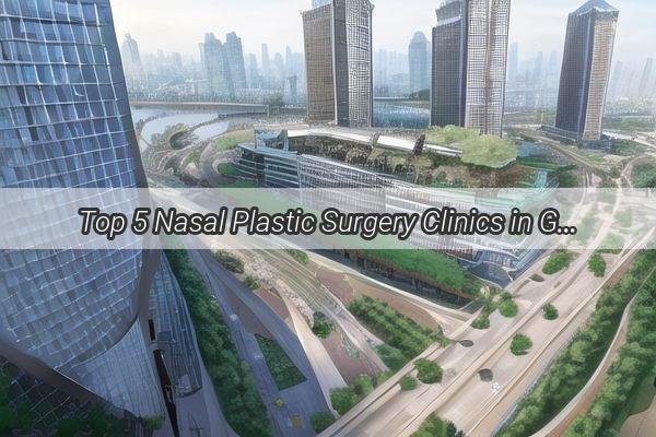 Top 5 Nasal Plastic Surgery Clinics in Guangzhou Your Guide to Perfect Nose Enhancement